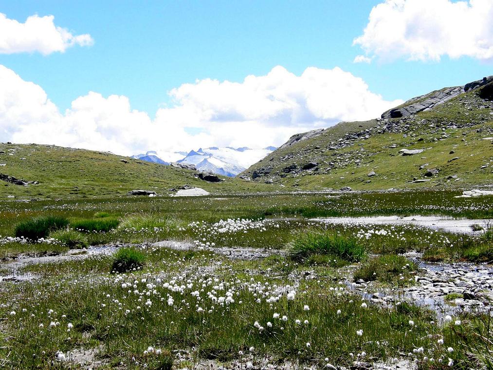 Laghi....della LOMBARDIA